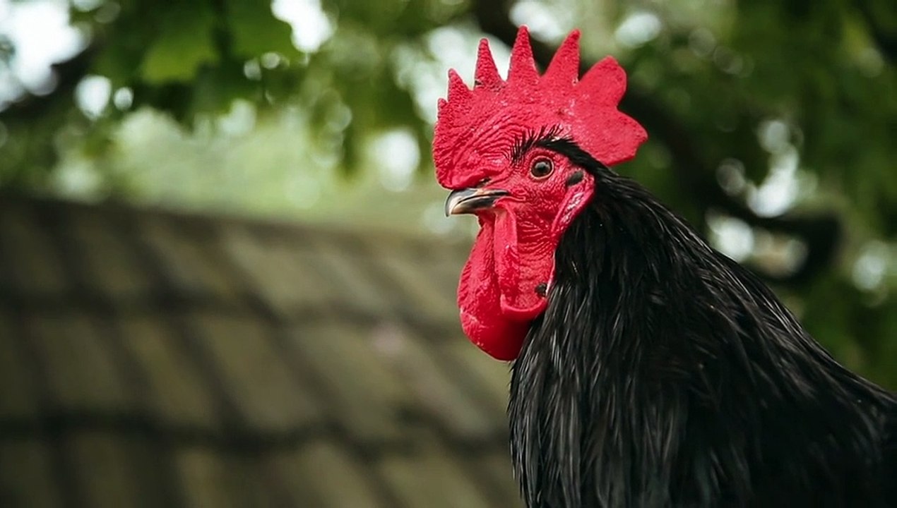 105226-669669053_small