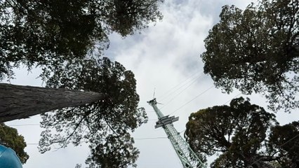 Timelapse CL-ACF flux tower, landscape