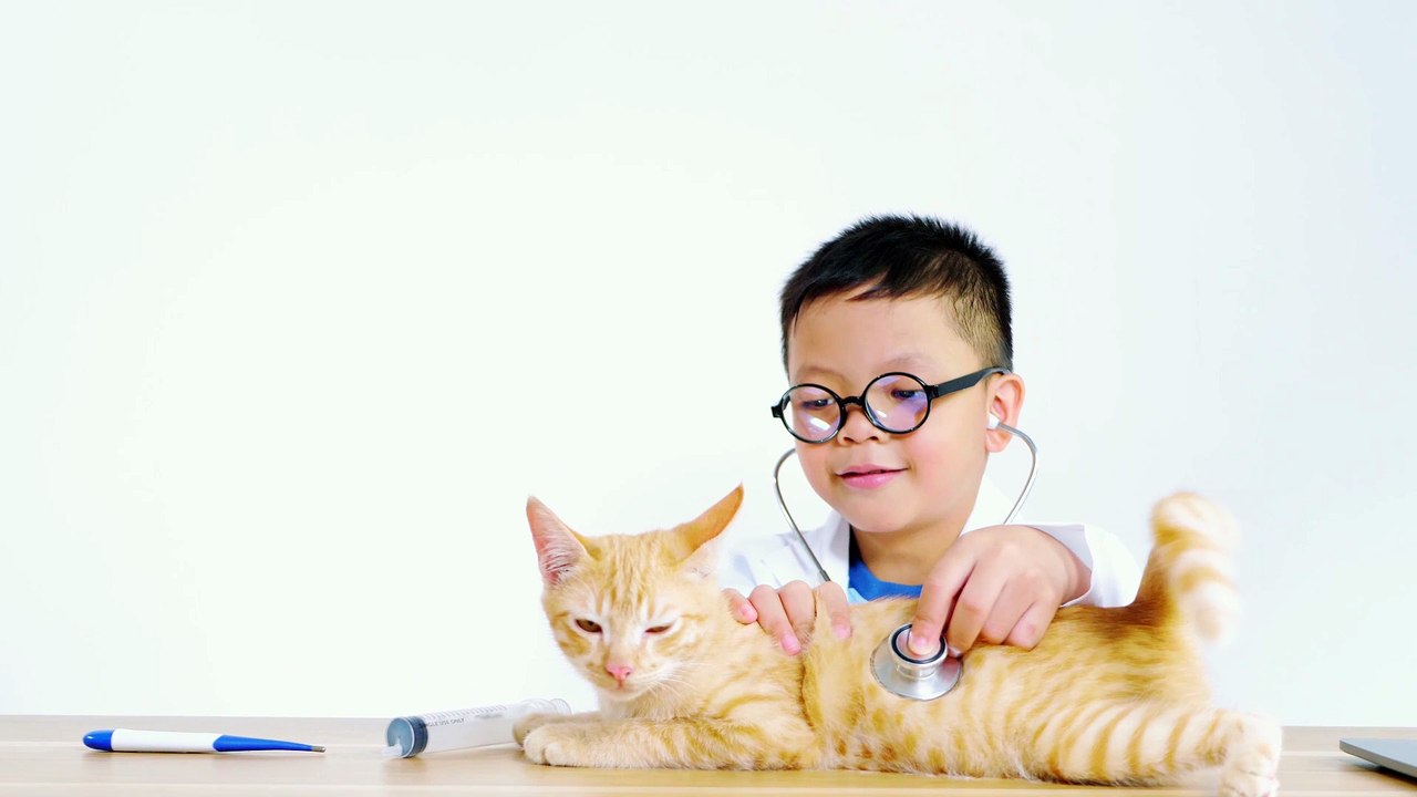 vecteezy_asian-boy-dressed-as-a-doctor-is-treating-a-cat_10925067