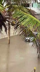 Carros ficam submersos por causa de alagamento em Salvador