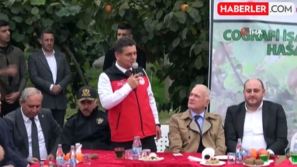 Yalova Kivisi Hasat Şenliği Renkli Görüntülere Sahne Oldu
