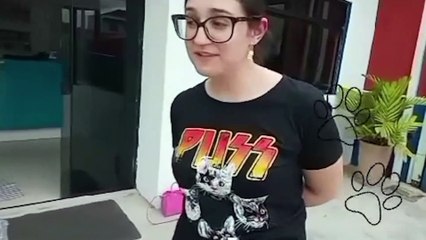 Adote o Tigrinho: cachorro abandonado que foi esfaqueado aguarda por adoção em Curitiba