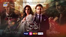 Aye Ishq e Junoon Episode 1 | Ushna Shah | Sheheryar Munawar | 11th Nov 2024 | ARY Digitaldrama