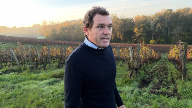 « On est inquiets » : après l’élection de Trump, les viticulteurs français face à la menace du retour des taxes