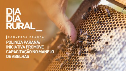 Poliniza Paraná: iniciativa promove capacitação no manejo de abelhas