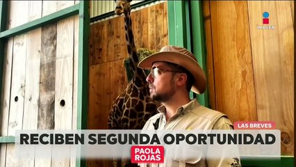 ¡Animales de la vida silvestre reciben una segunda oportunidad en Nuevo León!