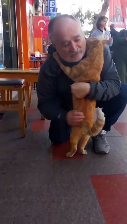 Bir amcanın boynuna evladı gibi sarılan kedi 😊 "Susamış, su istemek için sarılmış. Açtım kana kana su içti yavrum."