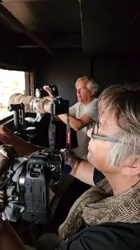 I m a Wild Photographer @alex-brack-nature I Filmed This While Photoguiding Follow For More Videos Have Virelreels ...!!