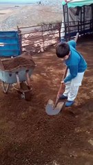 Bir öğretmenimiz öğrencileri verdiği “ev işlerine yardım” ödevi ve gelen şahane görüntüler