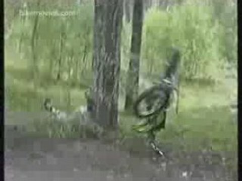 Jackass - Motocross Crash