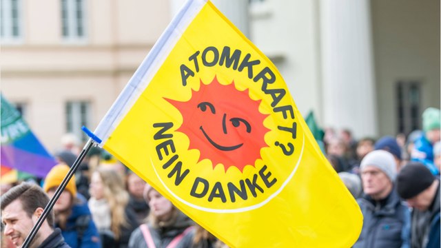 Bündnis 90/Die Grünen: Fakten