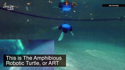 Walking on Land and Swimming in the Sea Are Just Some of the Highlights Of This Robot