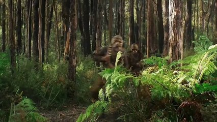 Moviee Furiosa get captured by