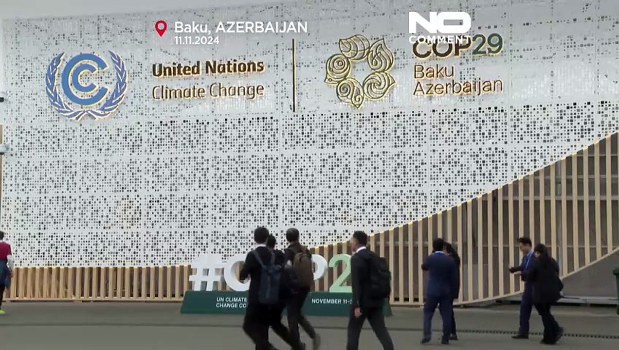 No comment: friedensdemonstration bei der cop 29