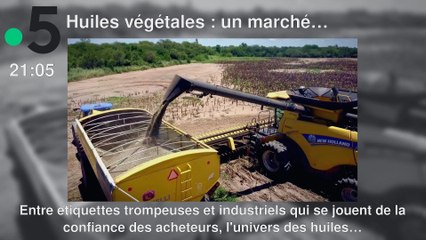 Programme TV soirée du Mardi 12 novembre 2024