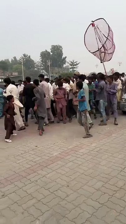 Pakistani awam hai