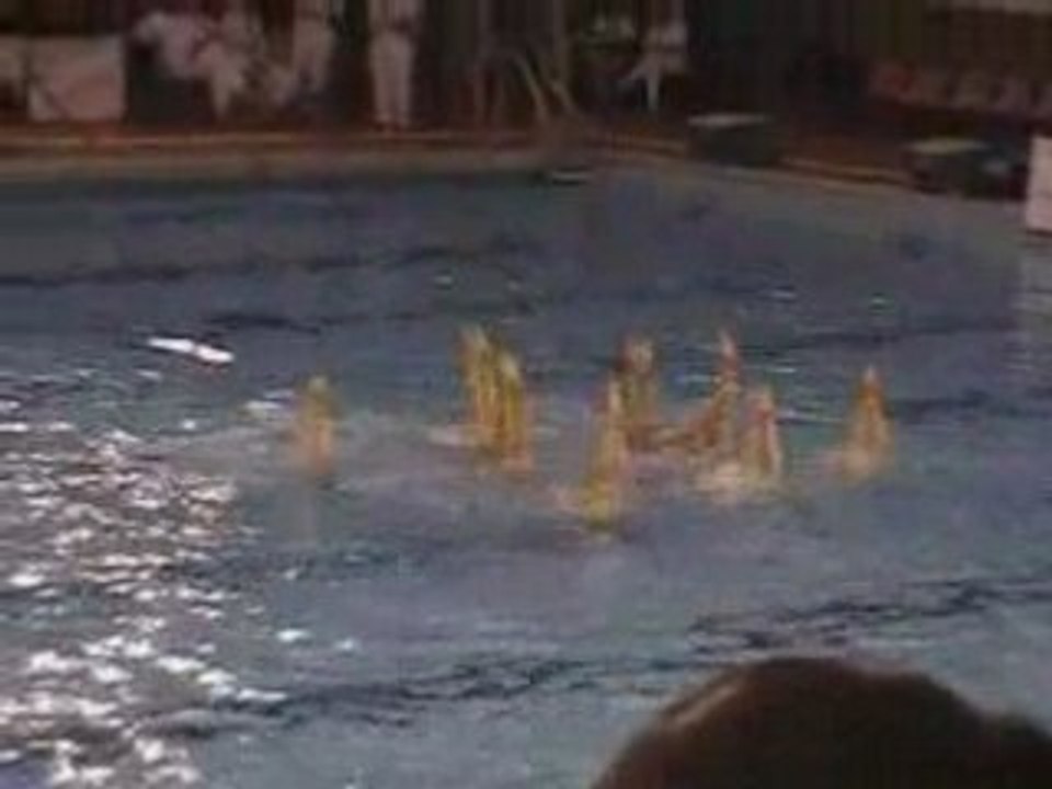 Championnat de France N1 2008 St Cyprien