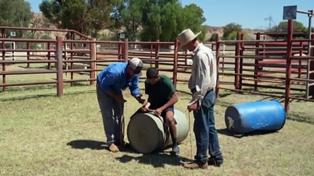 Senior NAAJA employee arrested, resigns after allegedly helping killer fugitive evade NT police