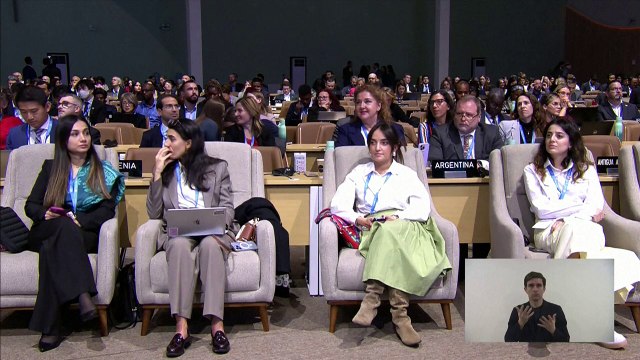 La COP29 aprueba reglas para los mercados de carbono tras una difícil sesión de apertura