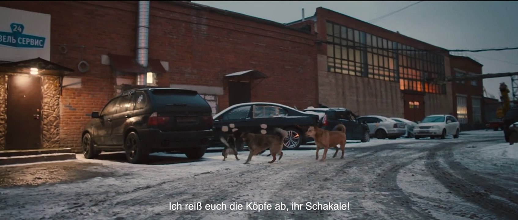 Dreaming Dogs | movie | 2024 | Official Trailer