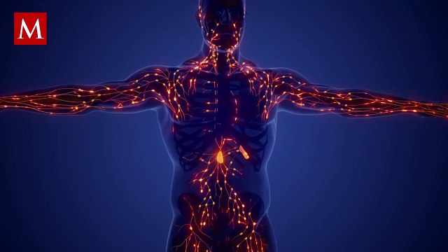 El chocolate puede aportar varios beneficios a tu salud; te contamos algunos de ellos