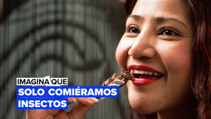 Imagina que los humanos solo comiéramos insectos