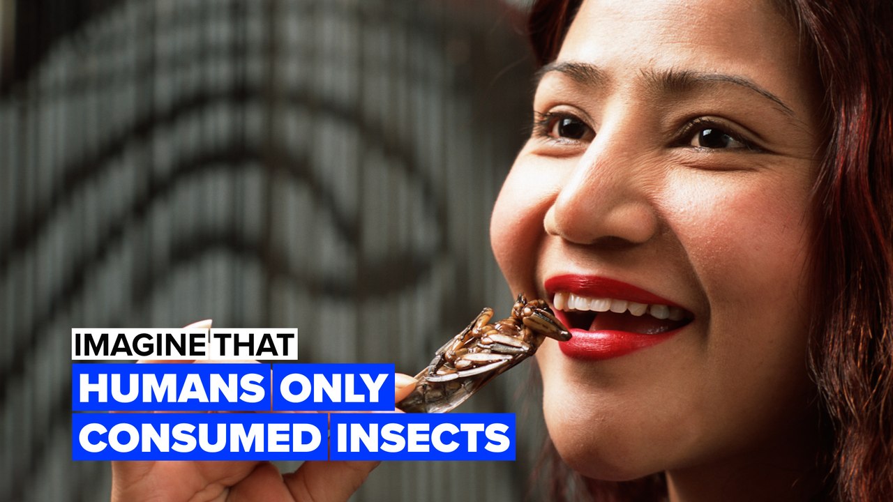 Imagine human only consumed insects
