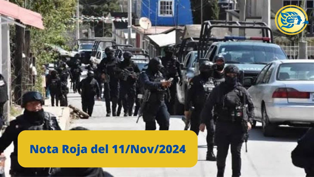 Breves Policiacas del 11 de Noviembre