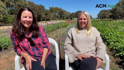 Langhorne Creek sisters' blooming side hustle