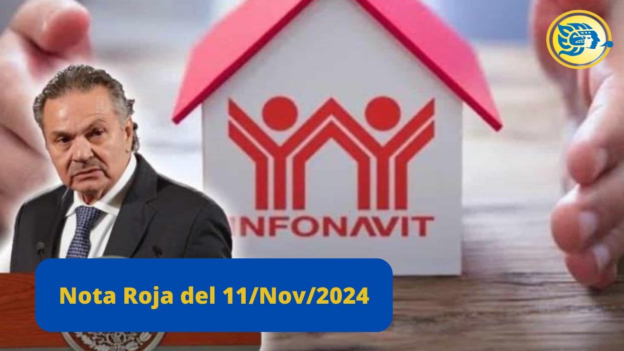 Resumen del 11 de Noviembre
