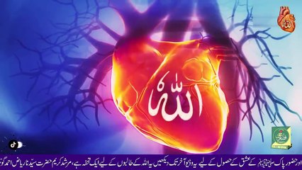 Allah Ka Ishq Kese Hasil Hota Hai | Ishq e Ellahi K Hasool Ka Tarika | FH Offical