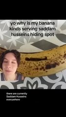 Saddam Hussein's Hiding Spot Is TikTok's Favorite Joke