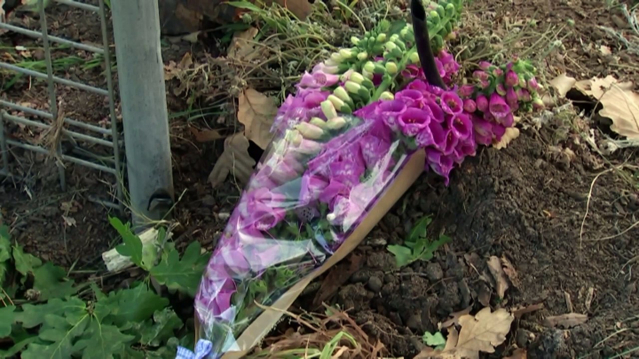 Community pays tribute to ‘hero’ teacher's aide after deadly Riddells Creek preschool crash