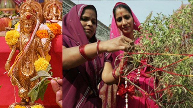 Dev Uthani Ekadashi 2024:देवउठनी एकादशी पर तुलसी को अर्पित करें 1 चीज, धन दौलत से भर जाएगी जेब