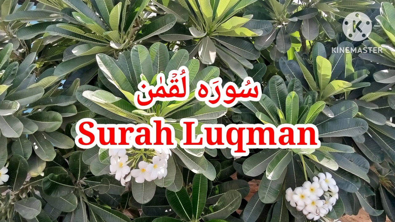 Surah Luqman - Quran recitation - Quran verses - Learn quran -