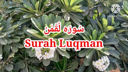 Surah Luqman - Quran recitation - Quran verses - Learn quran -