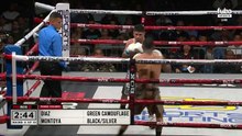 Joseph Diaz vs Abraham Montoya (09-11-2024) Full Fight