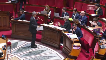 2ème séance : Projet de loi de finances pour 2025 (première partie) (suite) - Vendredi 8 novembre 2024