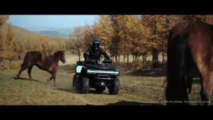 NIU Powersports