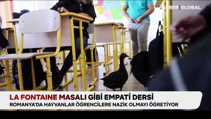 La Fontaine masalı gibi empati dersi: Romanya'da hayvanlar, öğrencilere nazik olmayı öğretiyor