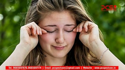 Best Mosquito Control Treatment in Nagpur-PCS