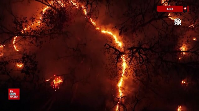 ABD'nin New Jersey eyaletindeki orman yangınından çarpıcı görüntüler