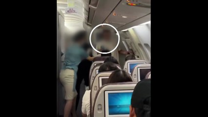 "승무원 자리 앉을래" 대한항공 외국인 난동 영상 공개 [앵커리포트] / YTN