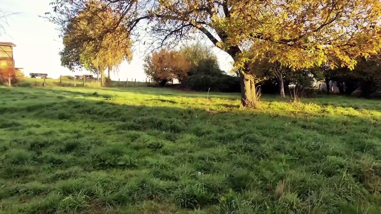 + + MEUCHA RUNDGANG GRUNDSTÜCK V + +