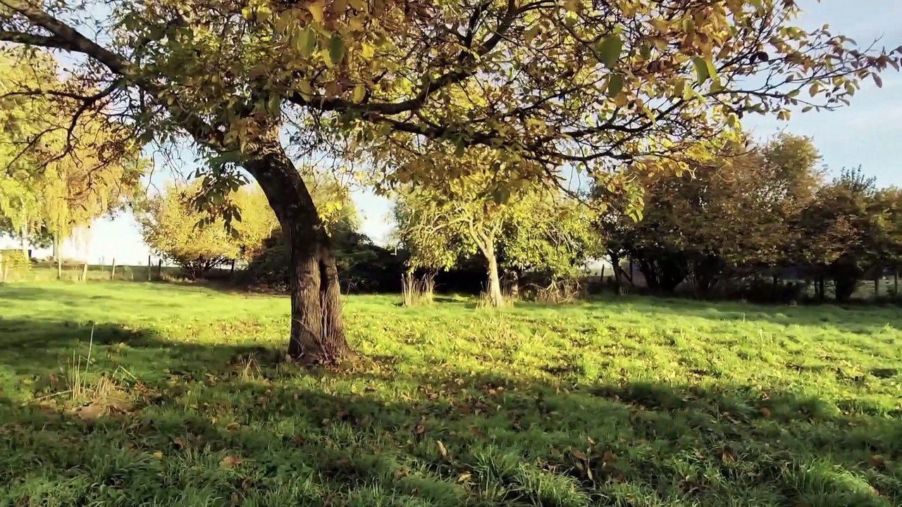 + + MEUCHA RUNDGANG GRUNDSTÜCK II + +