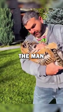 RUSSIAN ADOPTS TIGER! #pets #animalstories #animals #cute #cuteanimals #animalrescue