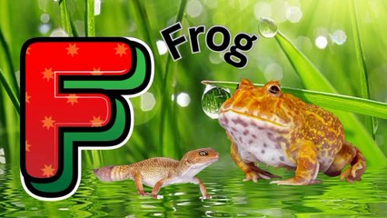 A for Apple phonic songs - Alphabet song- phonic song  - learning  Abcd - Rh_HD