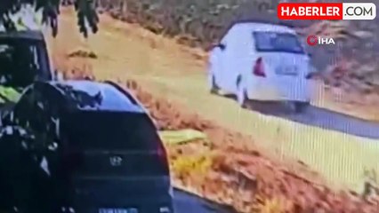 Gözünün önündeki köpeği acımadan ezip geçti