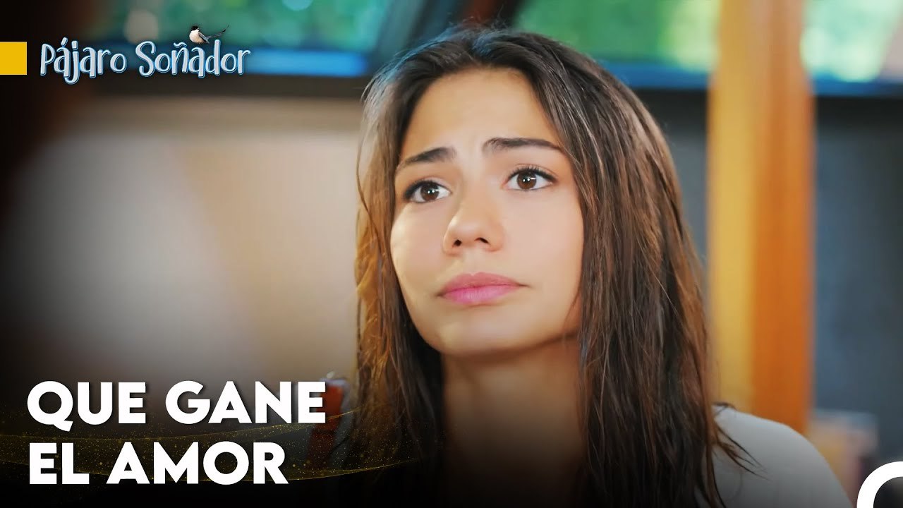 Elegí Esta Vida Brillante - Pájaro Soñador