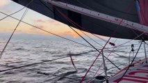 Vendée Globe 2024 -  Dans le vif du sujet  Daily Recap